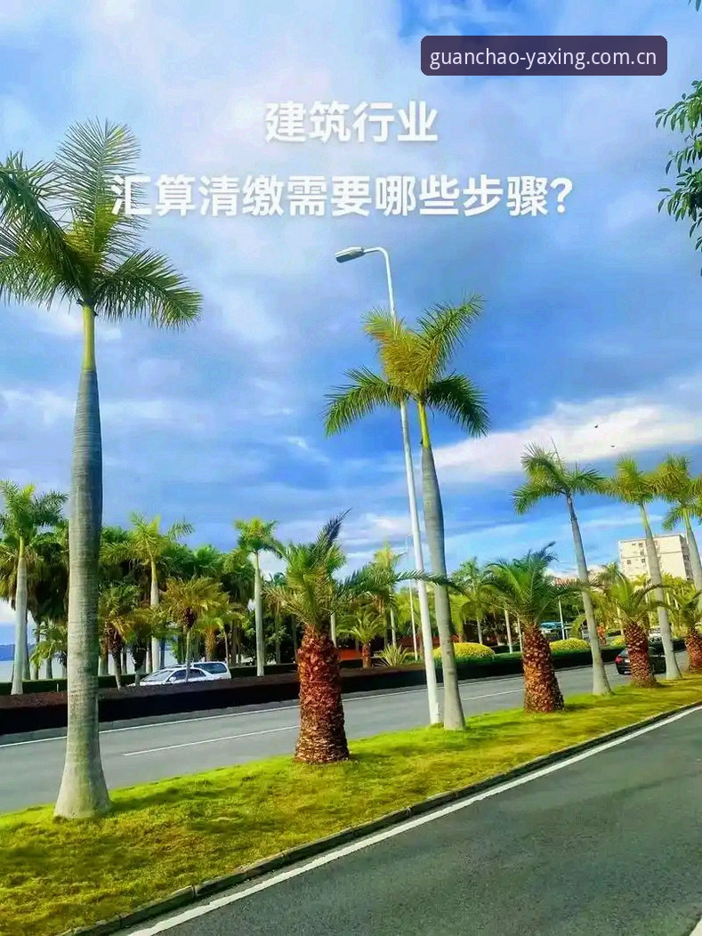 3个步骤搞定亚星官网观潮互动：从登录到实时数据的实操攻略